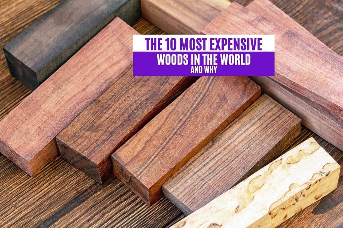 The 10 Most Expensive Woods in the World and Why
