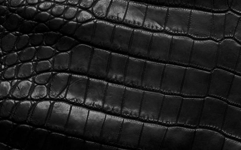 Crocodile-Leather