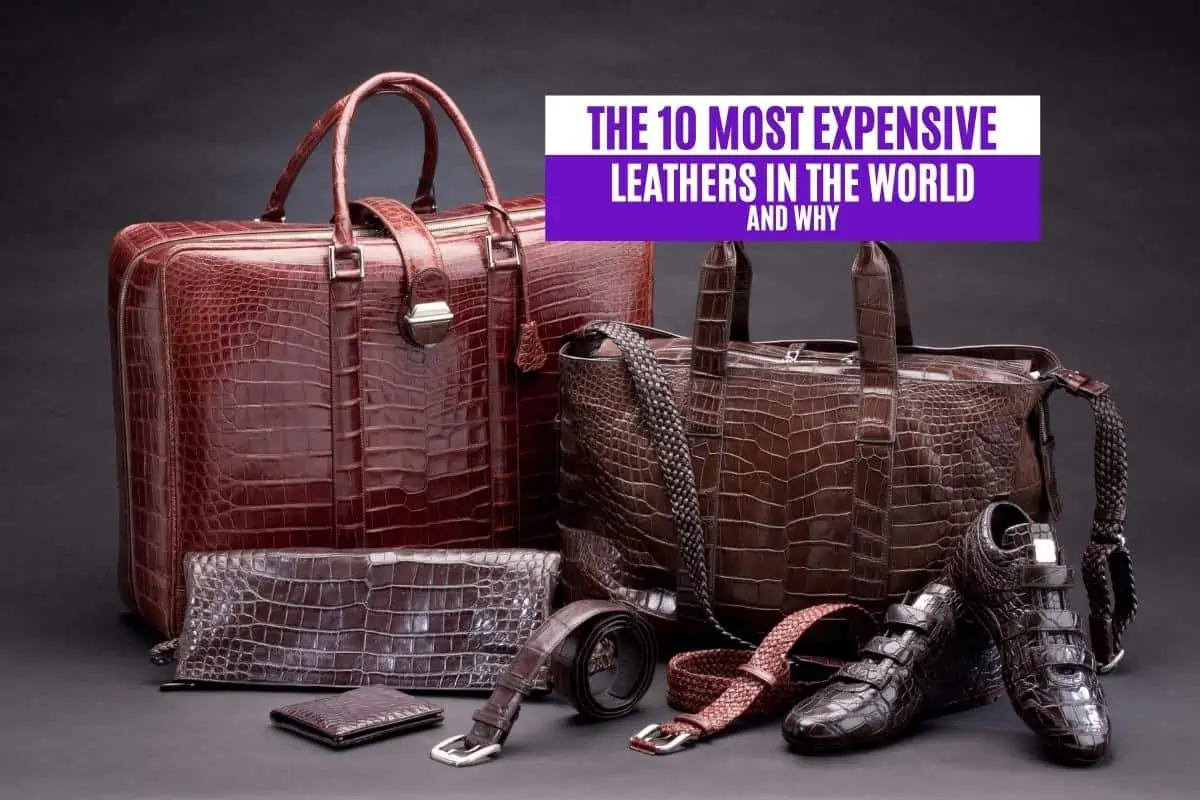 The 10 Most Expensive Leathers in the World and Why