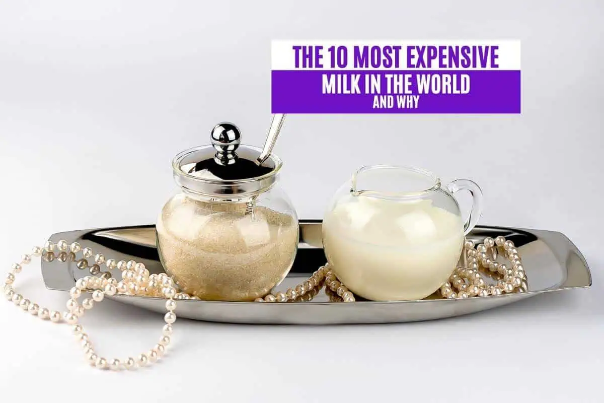The 10 Most Expensive Milk in the World and Why