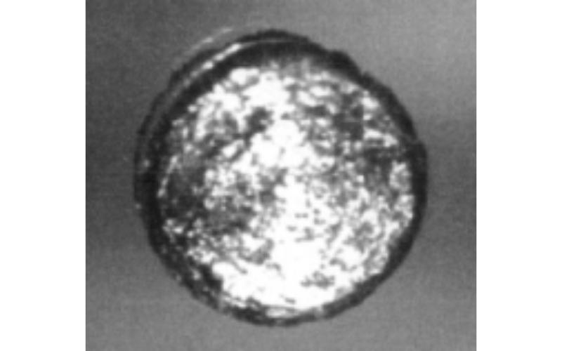 A-disc-of-californium-metal