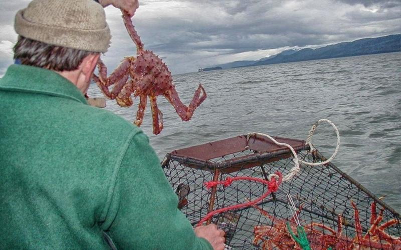Alaskan-King-Crab-Fishing