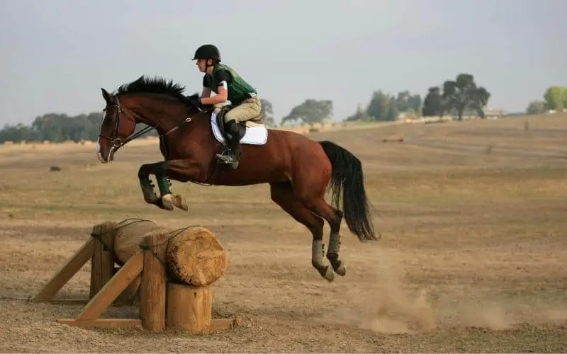 Equestrian-Competition
