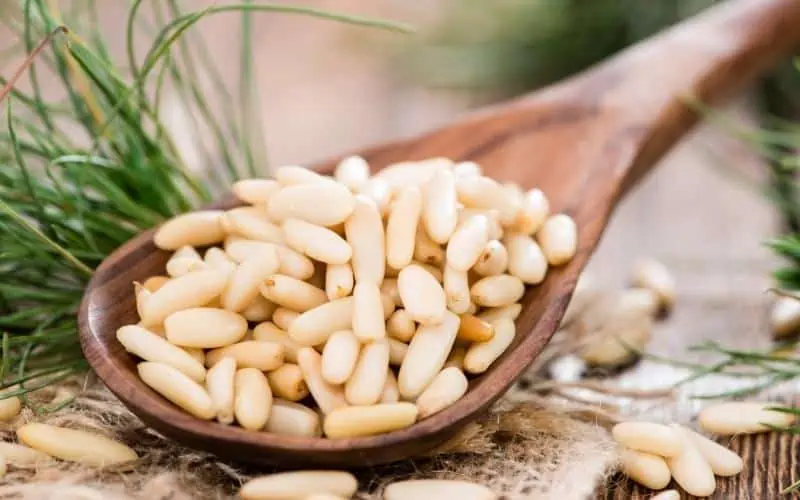 Mediterranean-Pine-Nuts