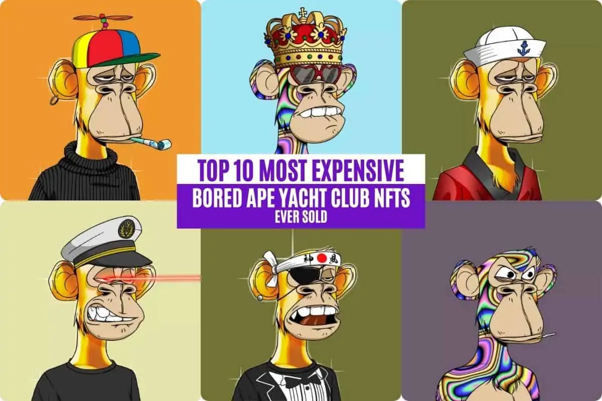Top 10 Most Expensive Bored Ape Yacht Club NFTs Ever Sold