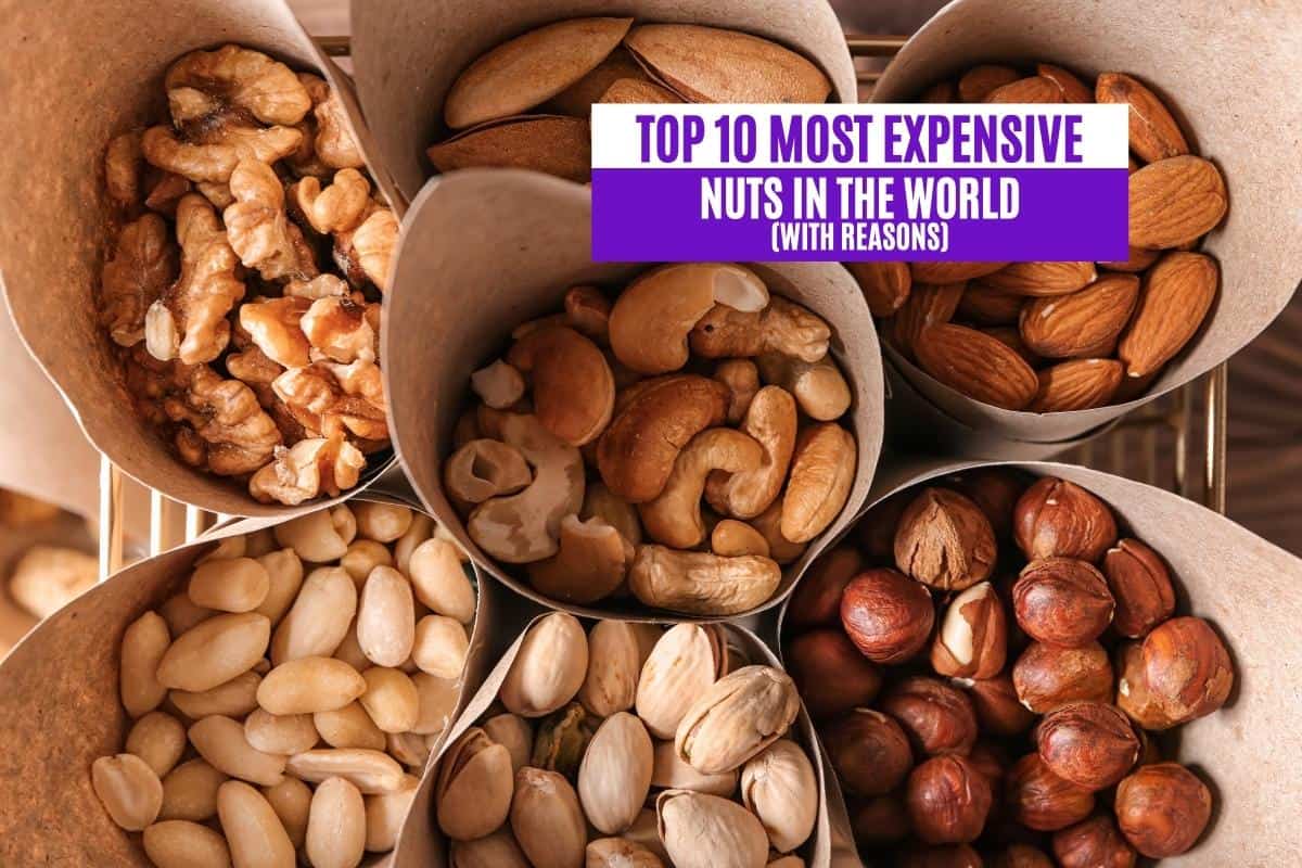Top 10 Most Expensive Nuts in the World (With Reasons)