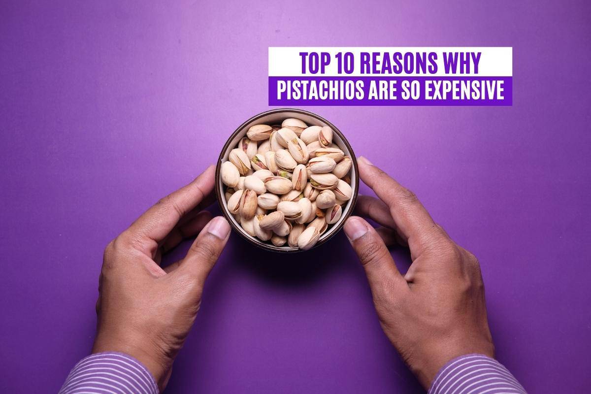 Top 10 Reasons Why Pistachios Are So Expensive