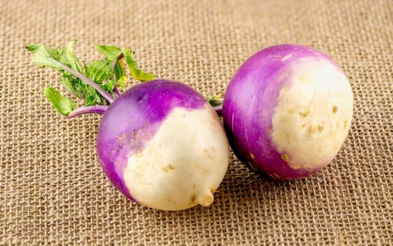 white-turnip