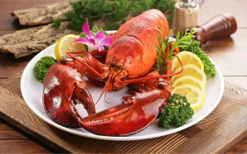 Lobster-Dish