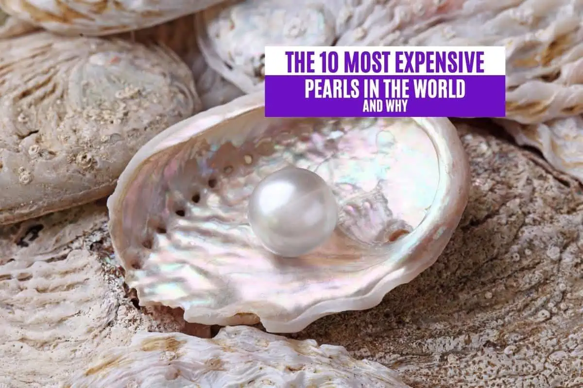The-10-Most-Expensive-Pearls-in-the-World