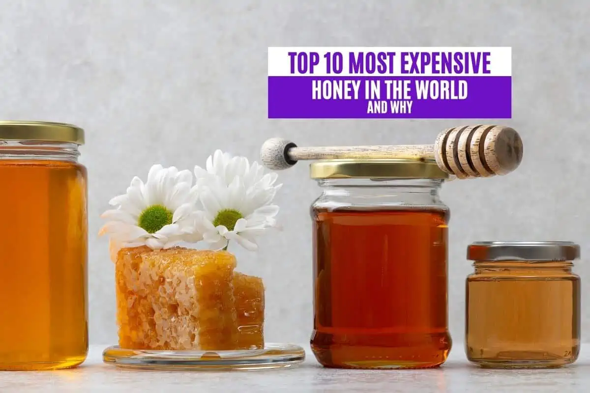 Top 10 Most Expensive Honey in the World and Why