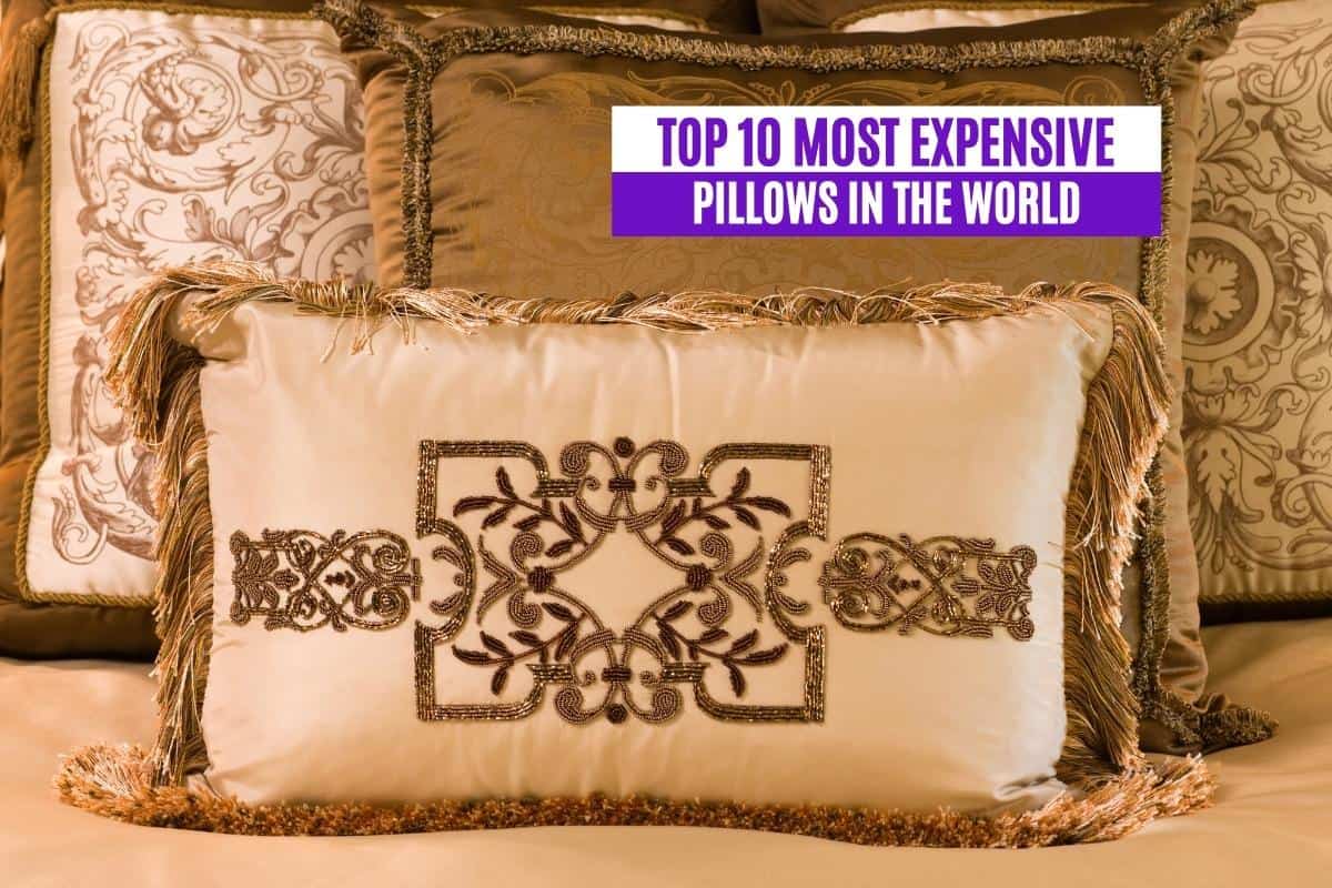 Top 10 Most Expensive Pillows in the World