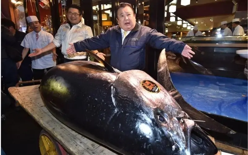 612-pound-bluefin-tuna