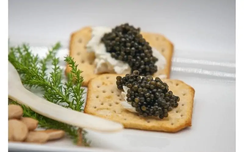 Caviar-Express-Beluga-Hybrid