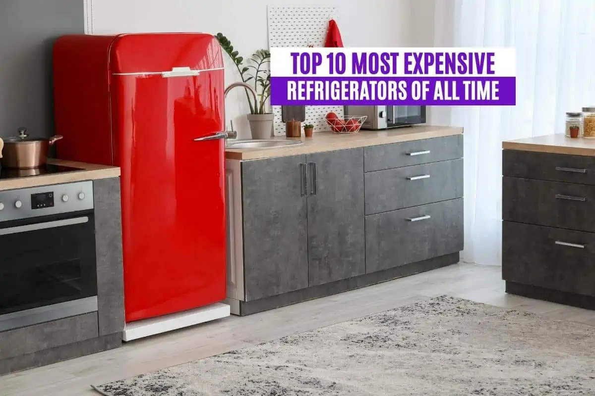 Top 10 Most Expensive Refrigerators of All Time