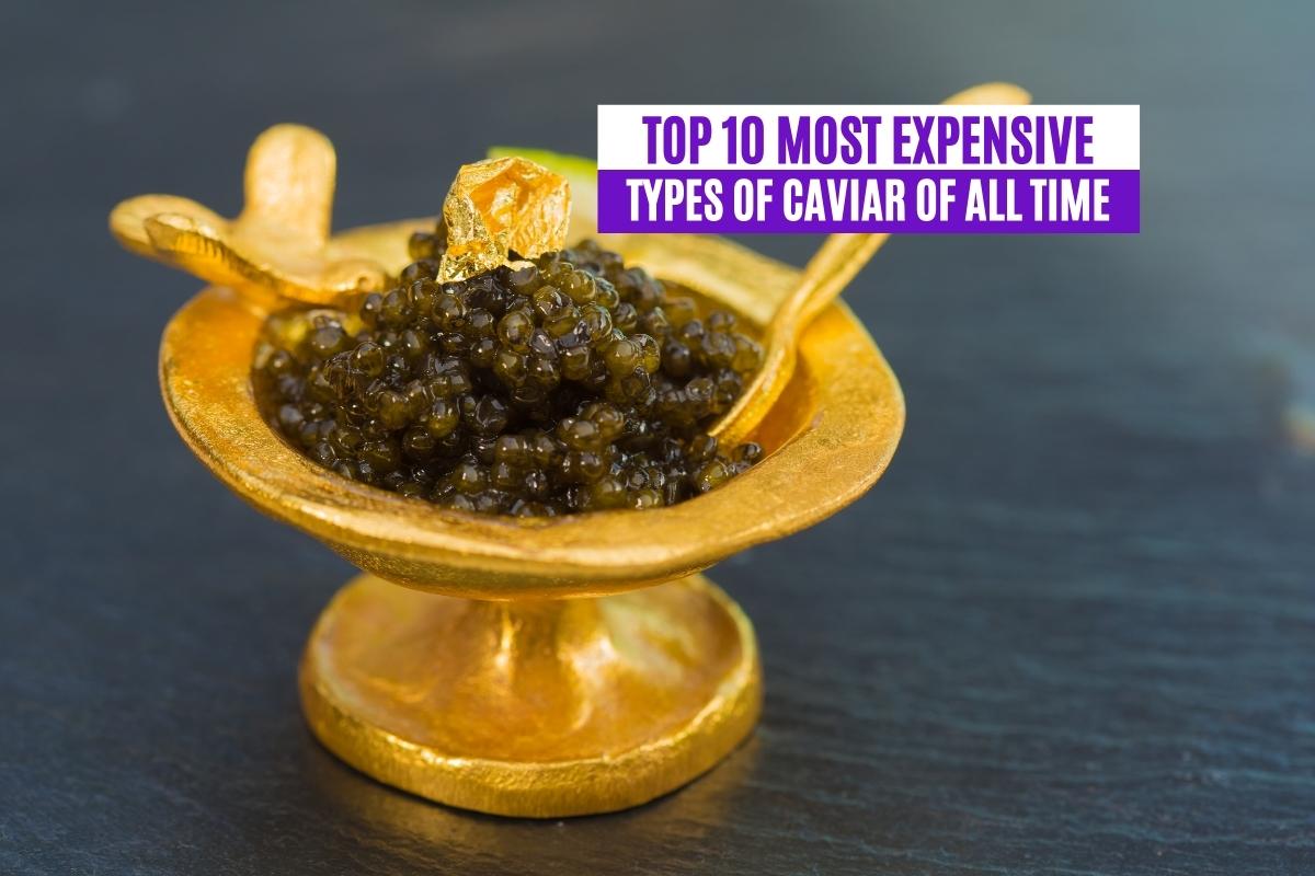 Top 10 Most Expensive Types of Caviar of All Time