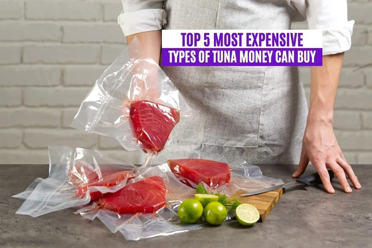 Top 5 Most Expensive Types of Tuna Money Can Buy