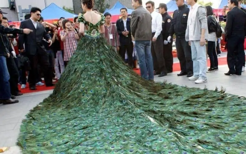 فستان زفاف فيرا وانغ طاووس