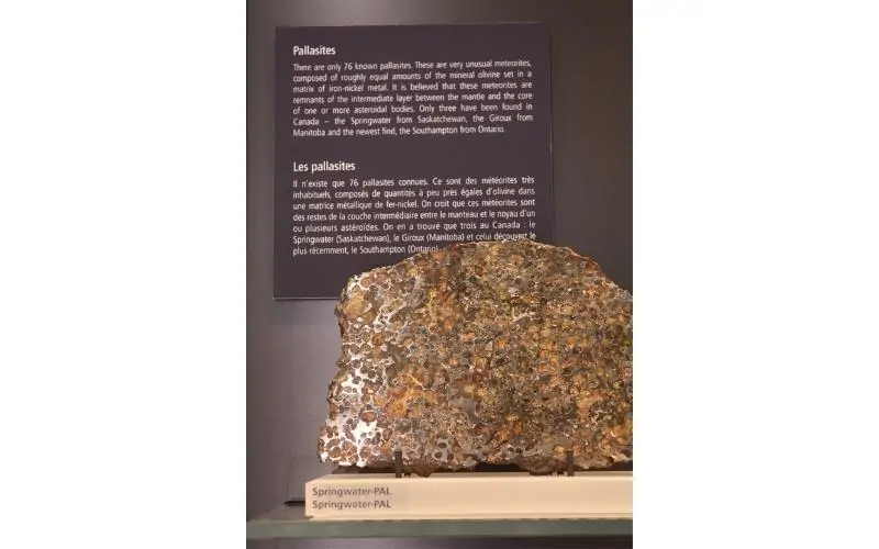 The-Springwater-Meteorite