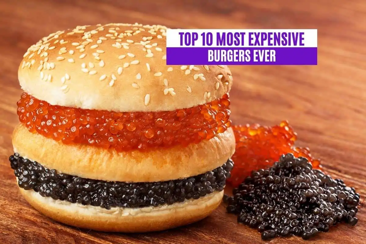 Top 10 Most Expensive Burgers Ever