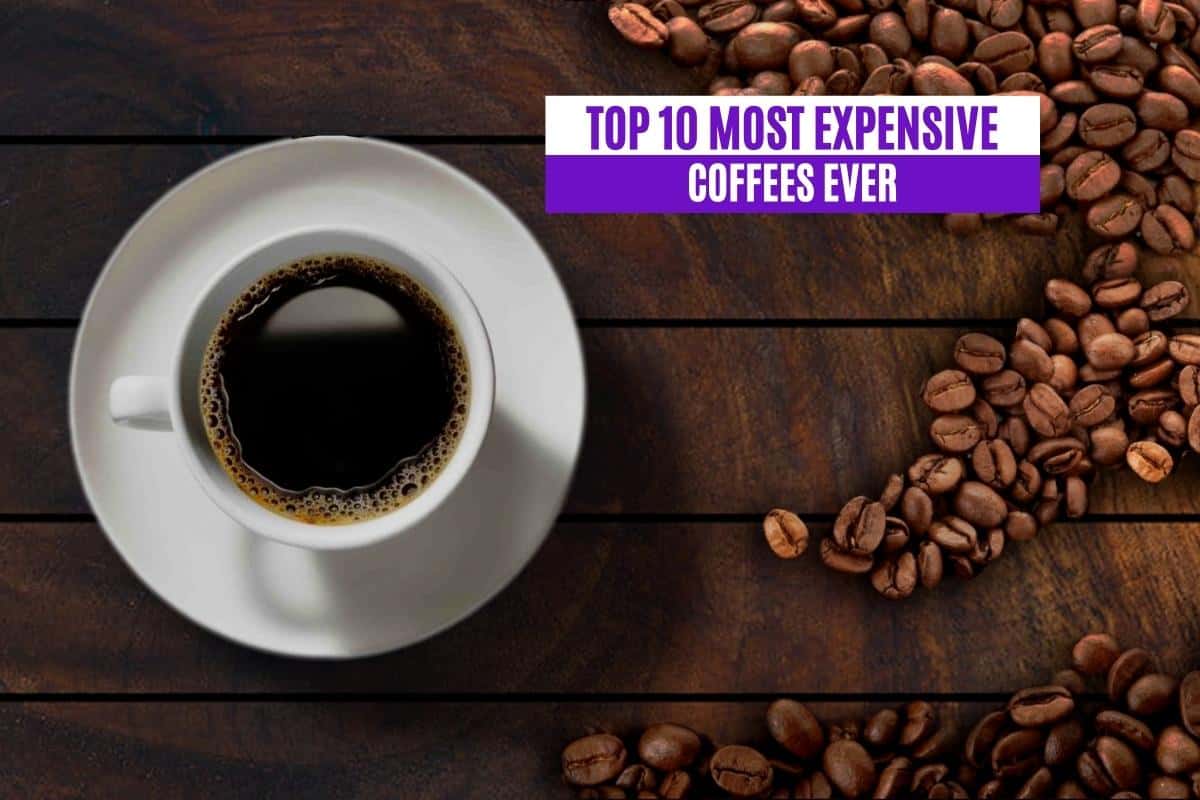 Top 10 Most Expensive Coffees Ever