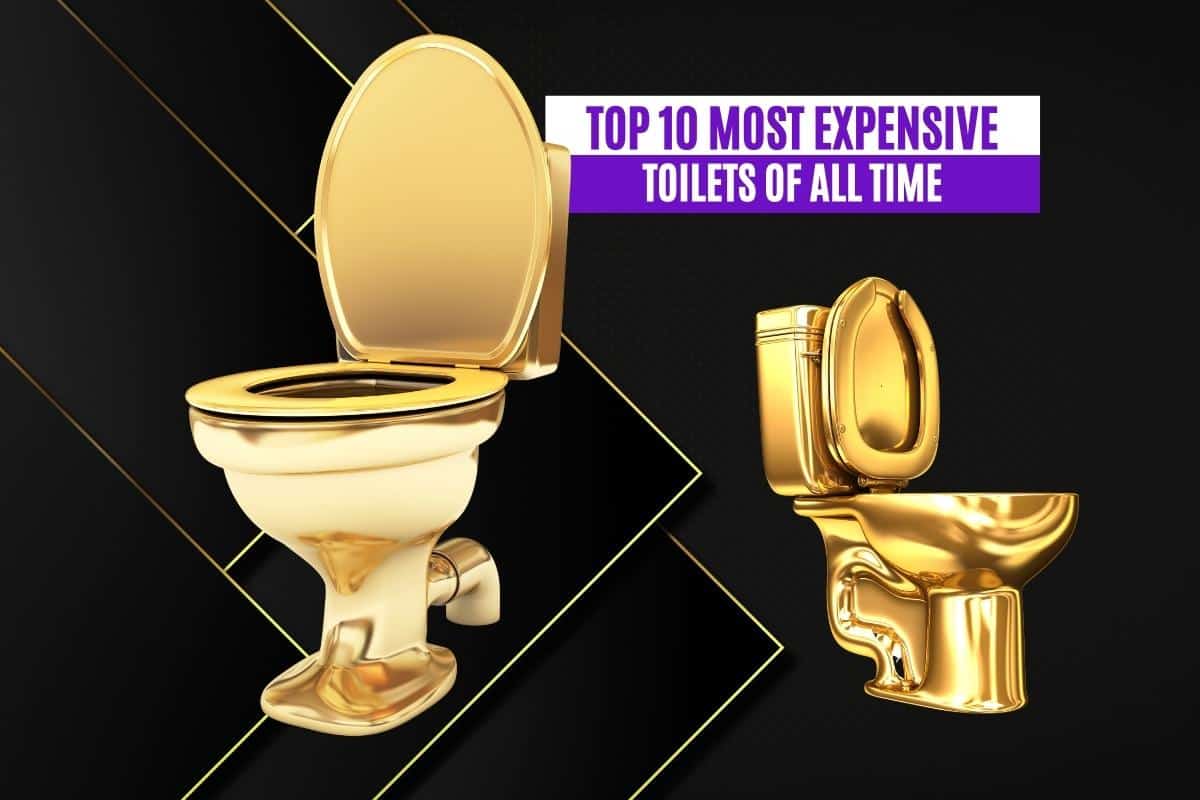 Top 10 Most Expensive Toilets of All Time