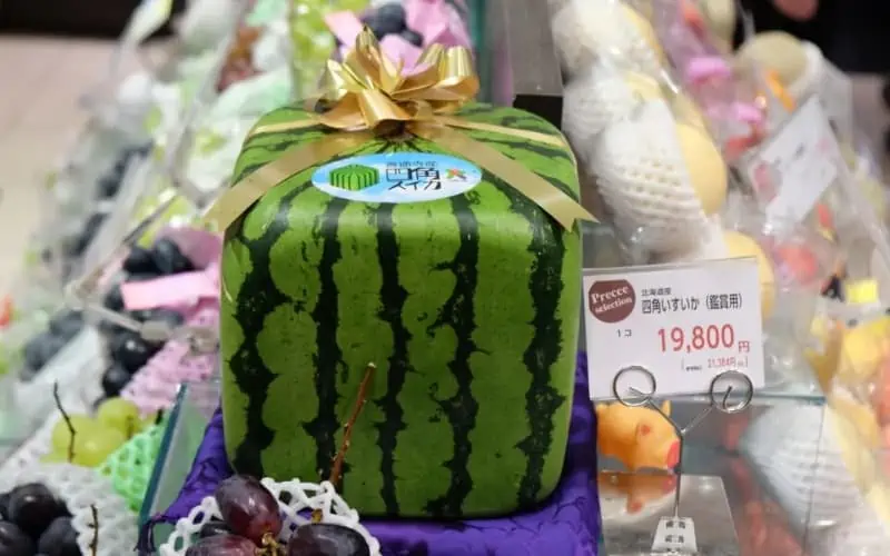 A-$200-Zentsuji-square-watermelon