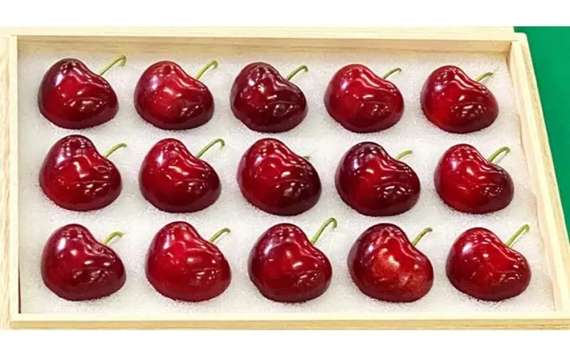 A-box-of-15-Aomori-Heartbeat-cherries