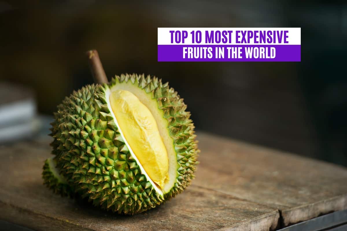 Top-10-Most-Expensive-Fruits