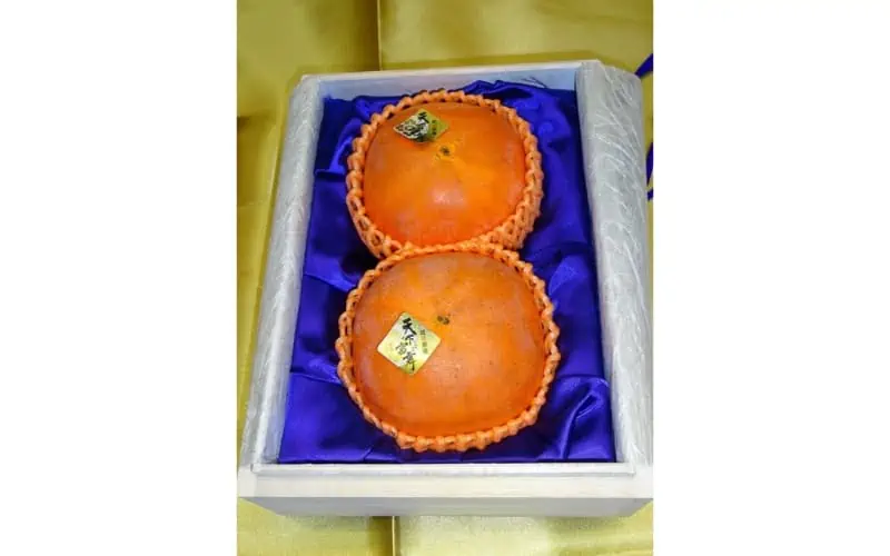 Two-persimmons-of-the-highest-Tenkabito-grade-fetched-$7500