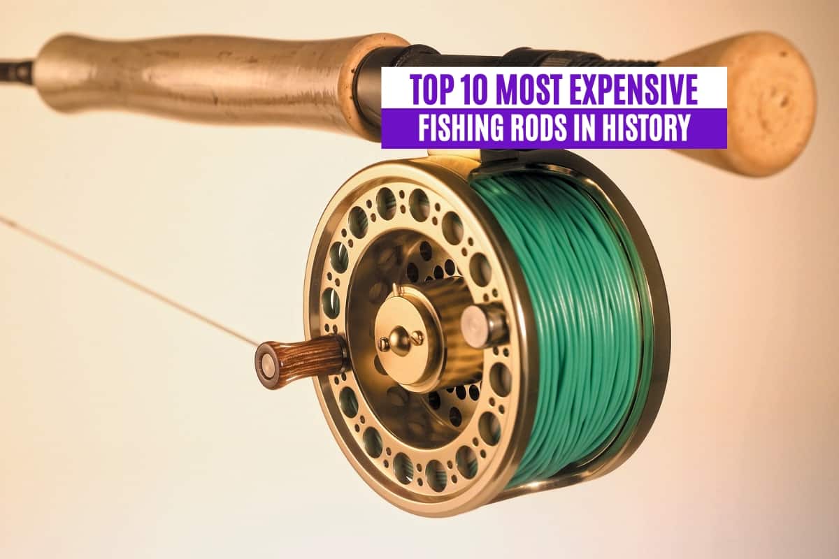 Top 10 Most Expensive Fishing Rods in History